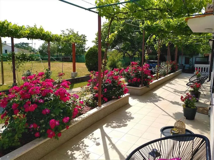 Kuca Lilla Villa Loborika